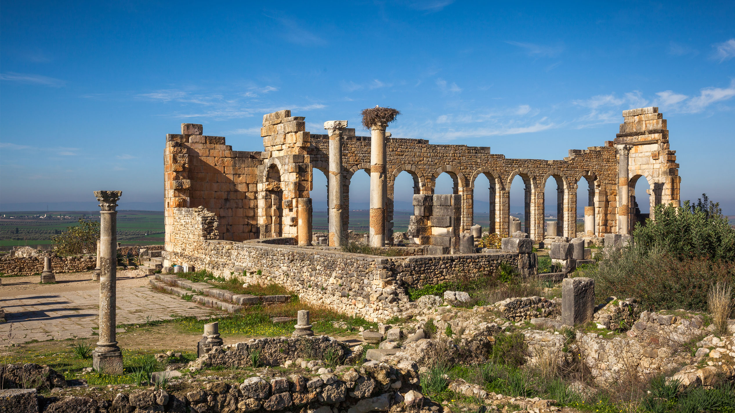 Ruins of Volubilis