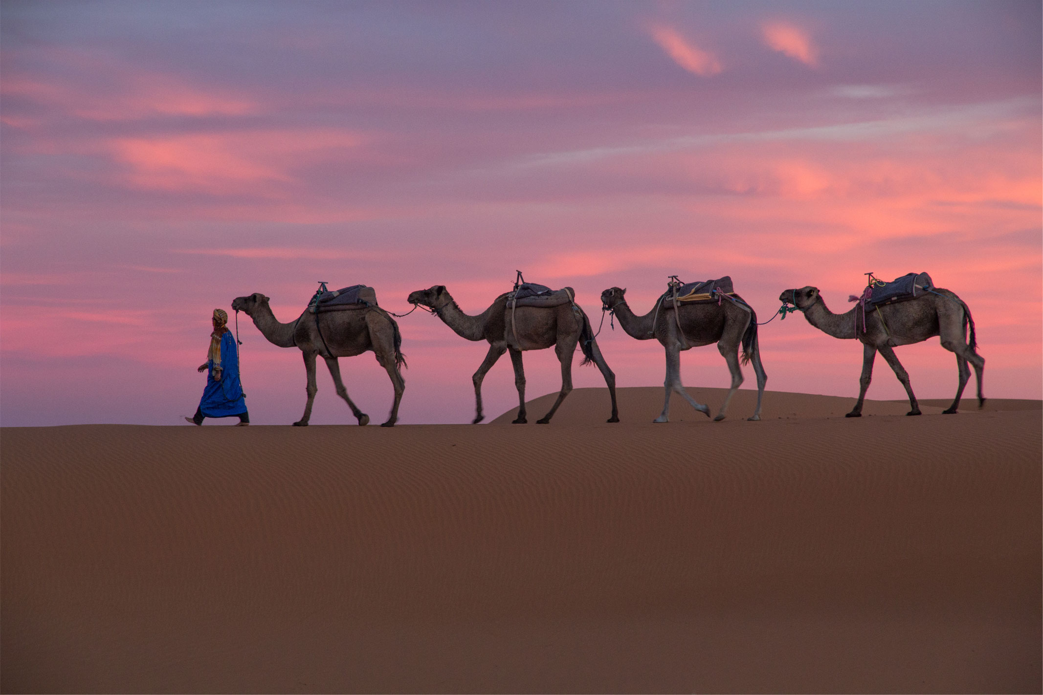 The Sahara at sunset