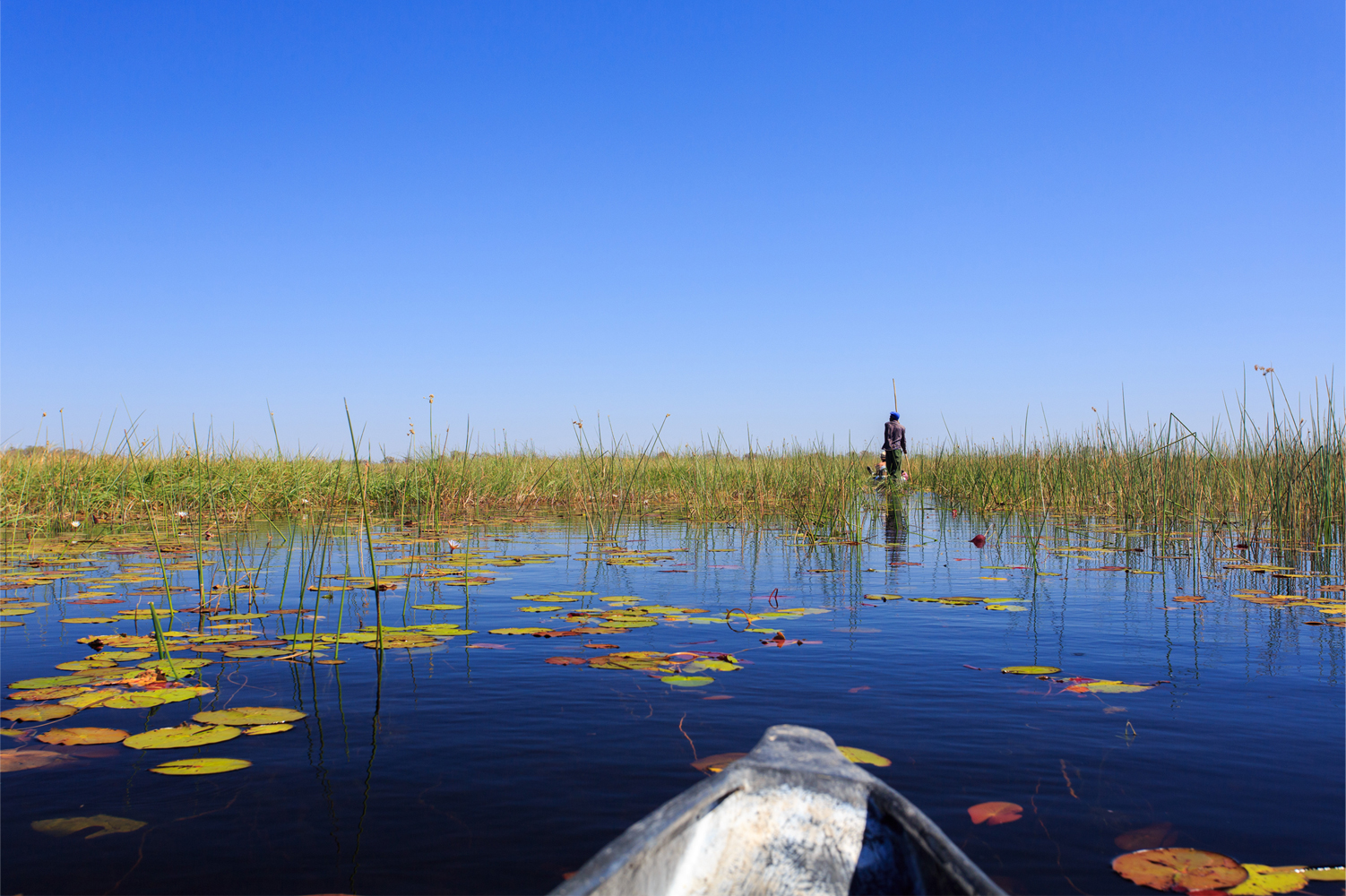 Mokoro ride in Botswana