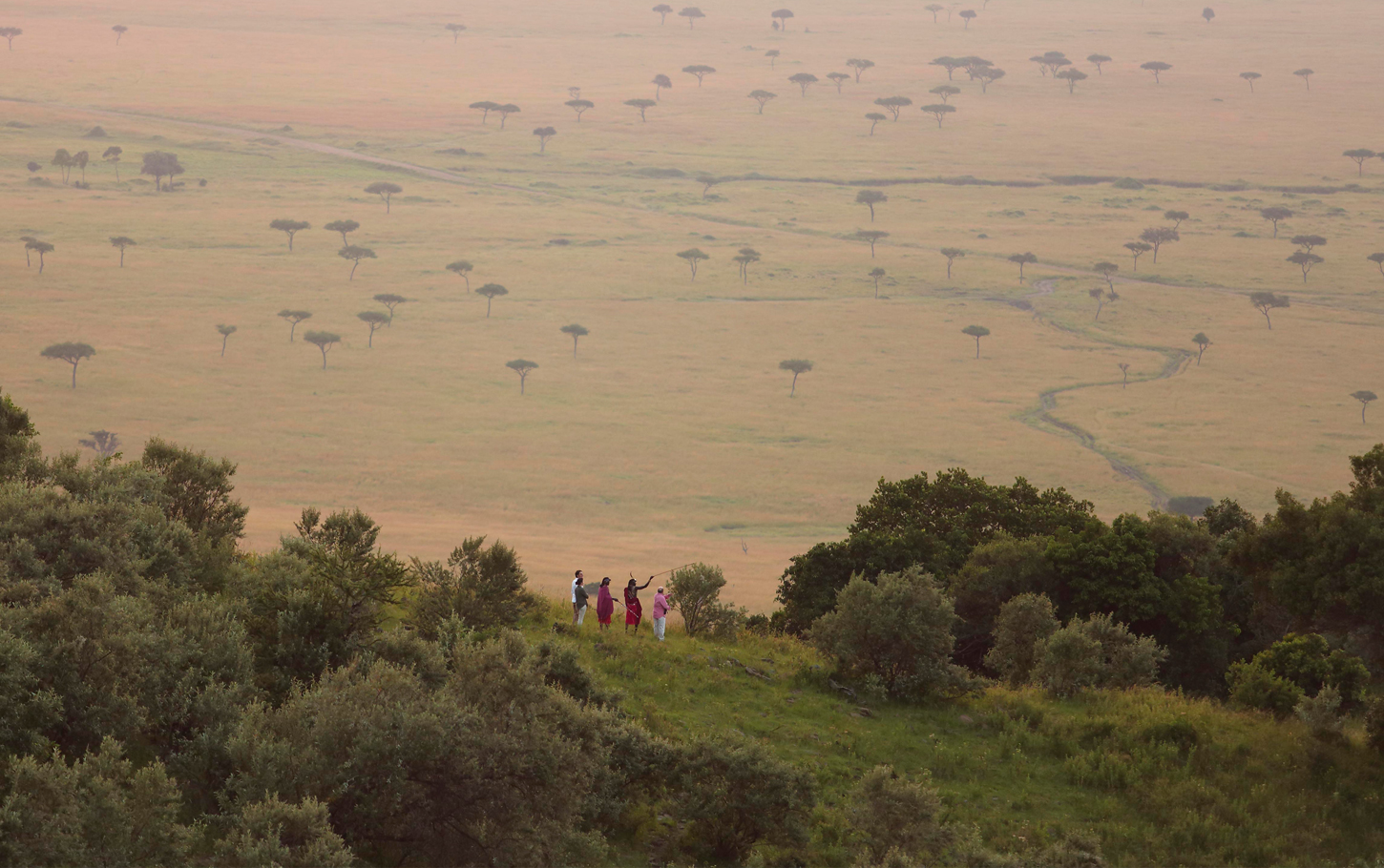 Beautiful views on safari