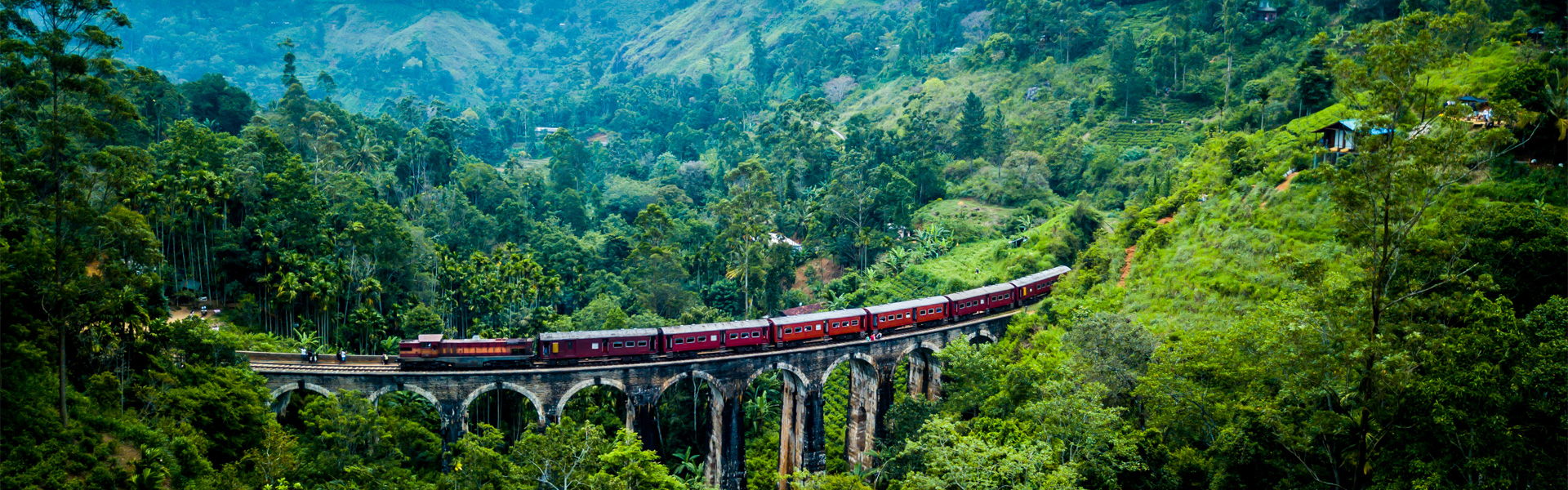 Five reasons to love Sri Lanka